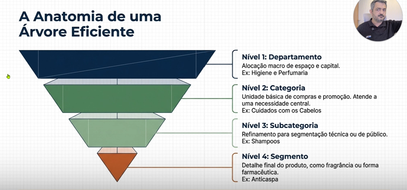 Anatomia de uma árvore eficiente